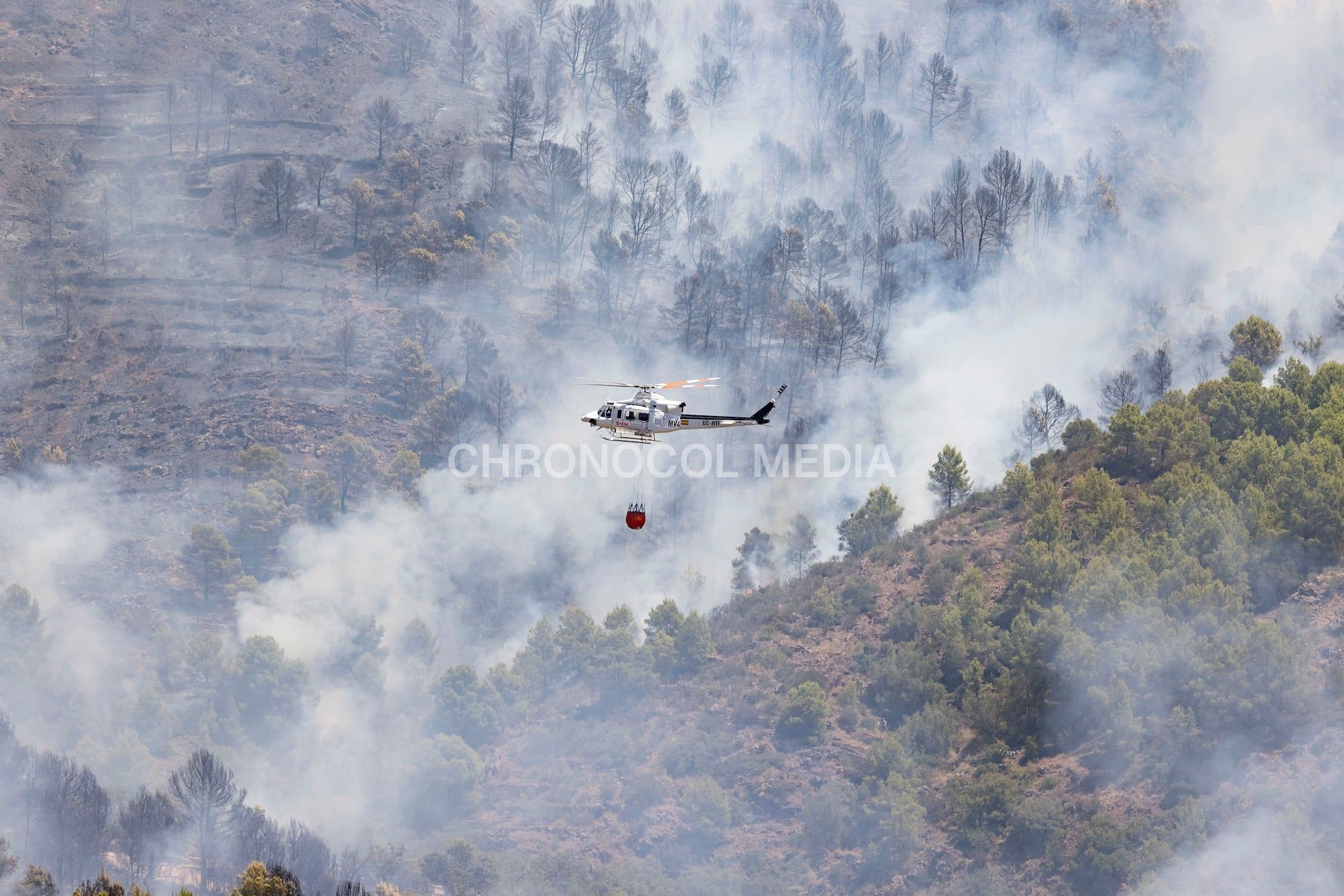 Spanien: ⚡️🇪🇸🔥 Der Brand von Burgohondo, in der Provinz Ávila, hat etwa 50.... 3